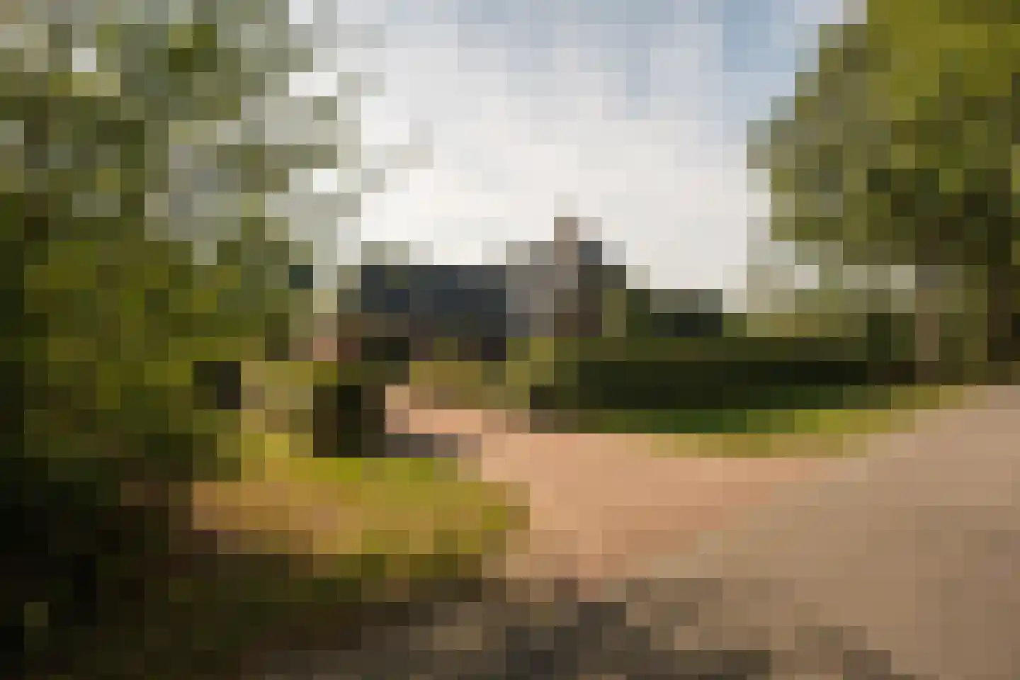 Skieppedrifte 15 Drogeham thumbnail 76