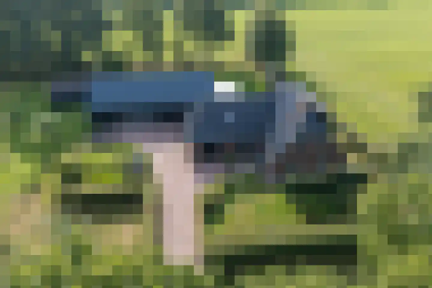 Skieppedrifte 15 Drogeham thumbnail 77