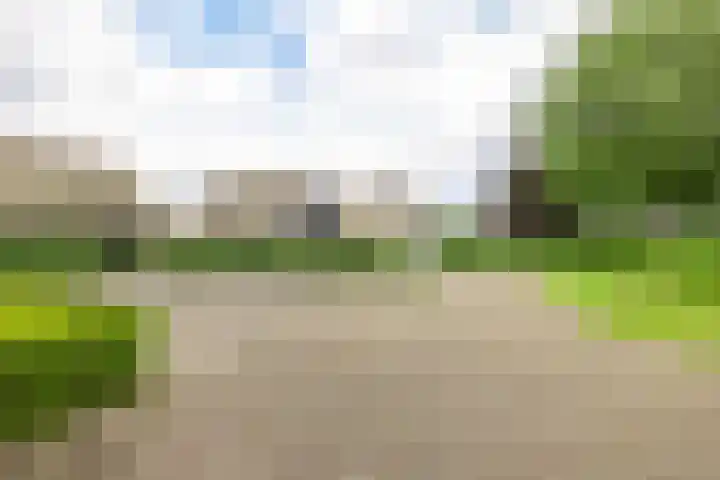 Skieppedrifte 5 Drogeham thumbnail 100