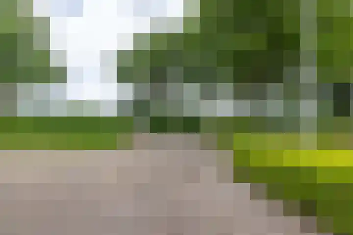 Skieppedrifte 5 Drogeham thumbnail 101