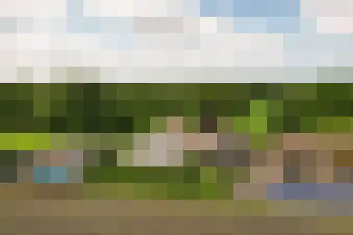 Skieppedrifte 5 Drogeham thumbnail 104
