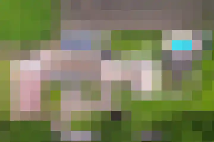 Skieppedrifte 5 Drogeham thumbnail 105