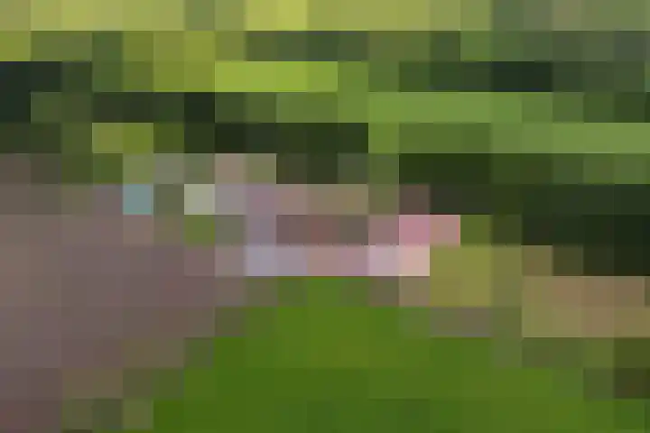 Skieppedrifte 5 Drogeham thumbnail 107