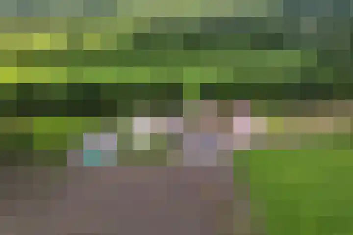 Skieppedrifte 5 Drogeham thumbnail 108
