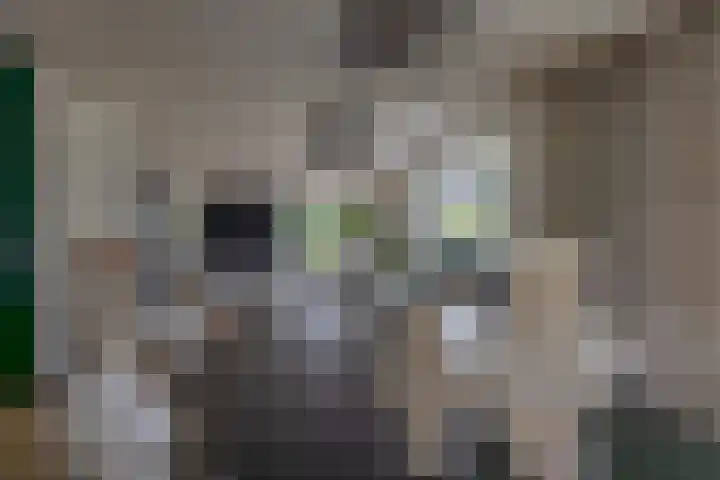 Skieppedrifte 5 Drogeham thumbnail 16