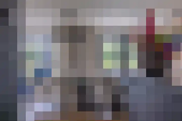 Skieppedrifte 5 Drogeham thumbnail 17