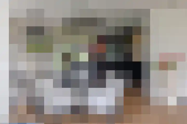 Skieppedrifte 5 Drogeham thumbnail 18