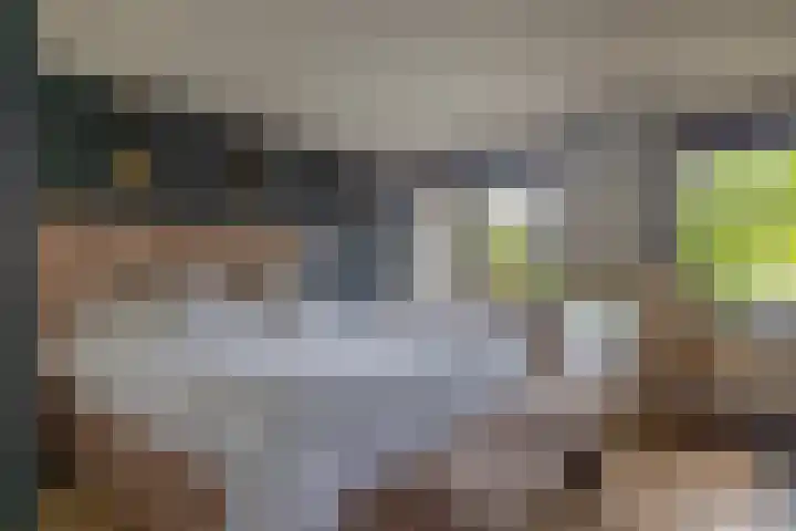 Skieppedrifte 5 Drogeham thumbnail 24