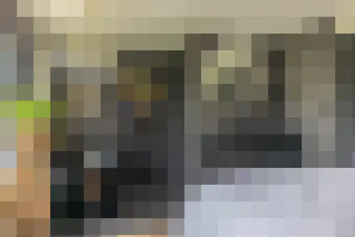 Skieppedrifte 5 Drogeham thumbnail 25