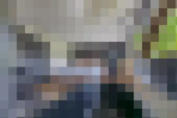 Skieppedrifte 5 Drogeham thumbnail 26
