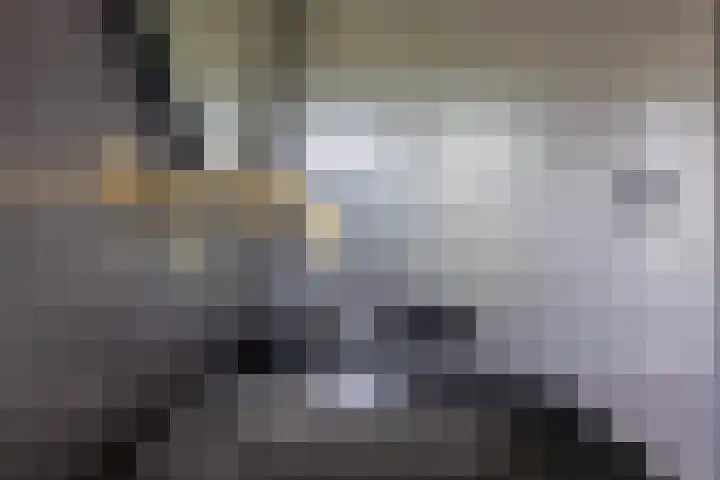 Skieppedrifte 5 Drogeham thumbnail 27