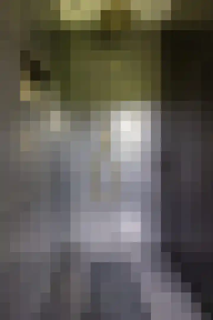 Skieppedrifte 5 Drogeham thumbnail 28