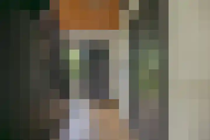 Skieppedrifte 5 Drogeham thumbnail 29