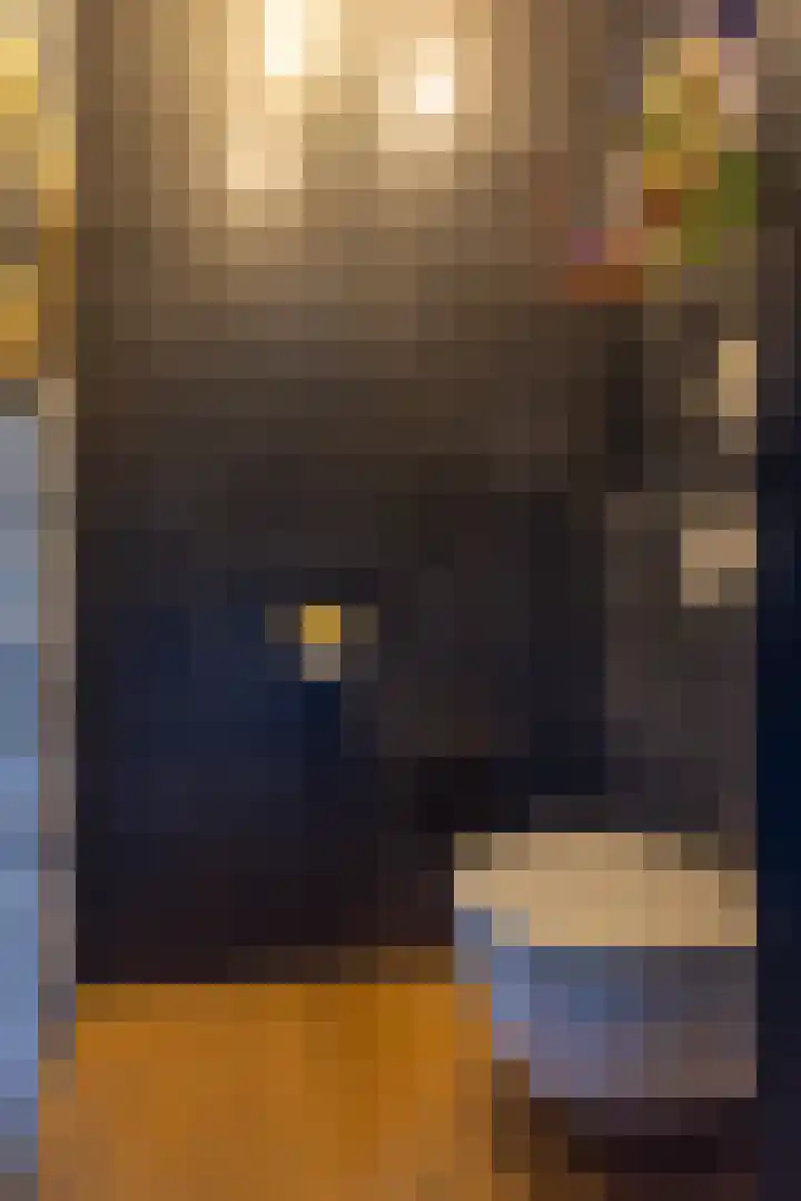 Skieppedrifte 5 Drogeham thumbnail 30