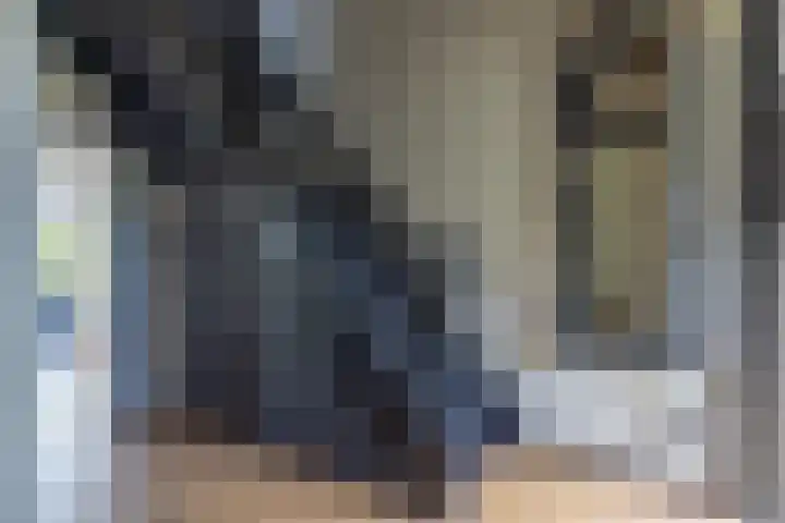 Skieppedrifte 5 Drogeham thumbnail 34
