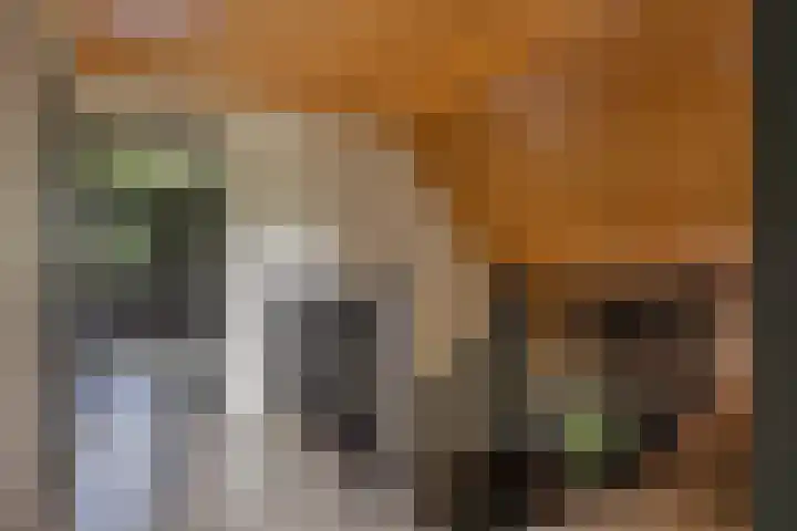 Skieppedrifte 5 Drogeham thumbnail 35