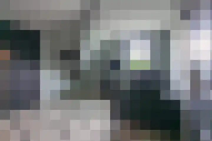 Skieppedrifte 5 Drogeham thumbnail 36