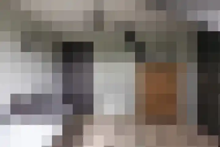 Skieppedrifte 5 Drogeham thumbnail 37
