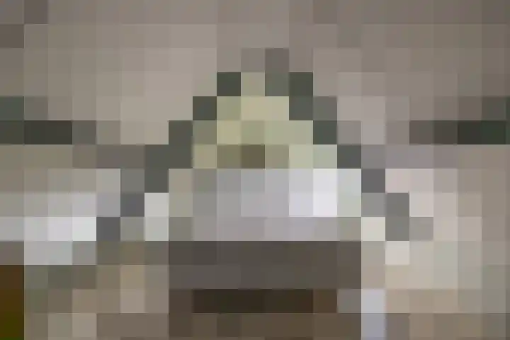 Skieppedrifte 5 Drogeham thumbnail 39