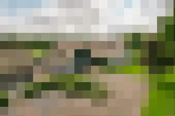 Skieppedrifte 5 Drogeham thumbnail 4