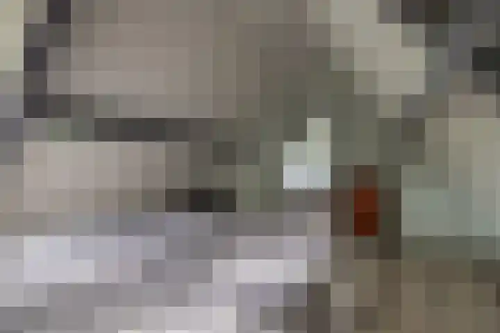 Skieppedrifte 5 Drogeham thumbnail 40