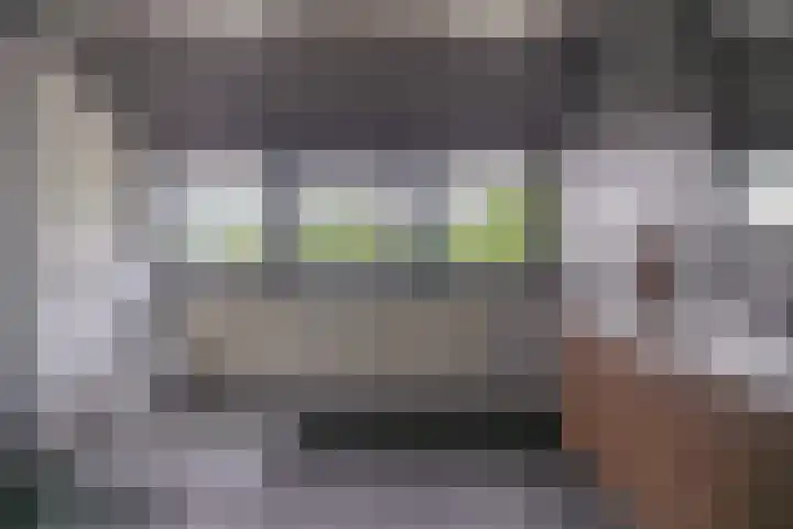 Skieppedrifte 5 Drogeham thumbnail 43