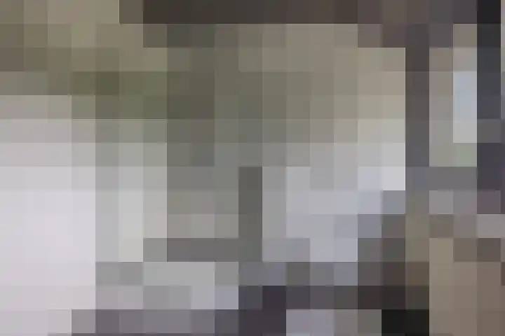 Skieppedrifte 5 Drogeham thumbnail 44