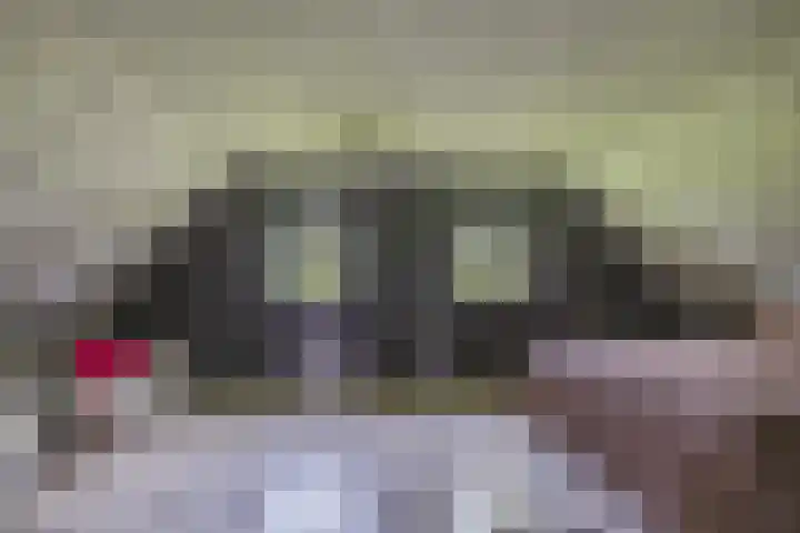 Skieppedrifte 5 Drogeham thumbnail 46