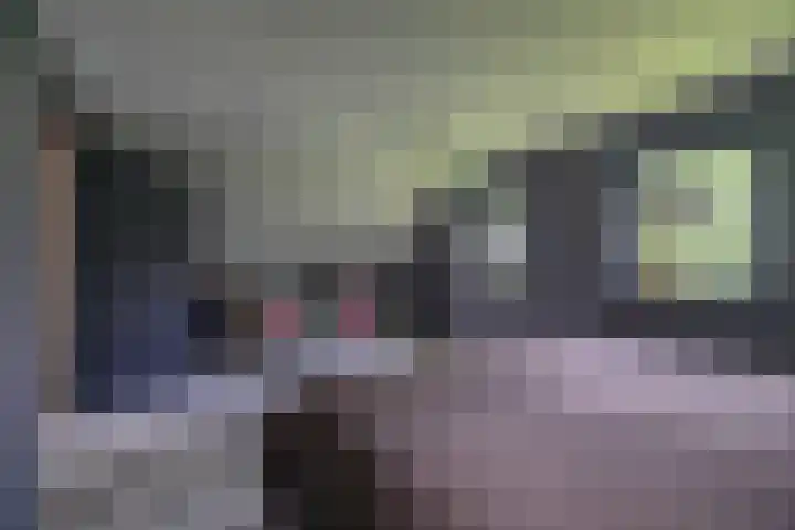 Skieppedrifte 5 Drogeham thumbnail 48