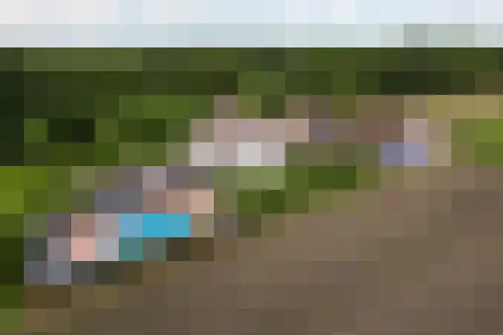 Skieppedrifte 5 Drogeham thumbnail 5