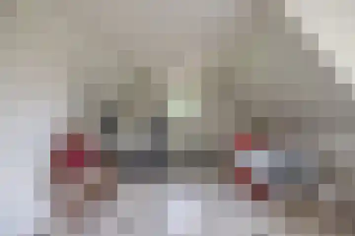 Skieppedrifte 5 Drogeham thumbnail 52