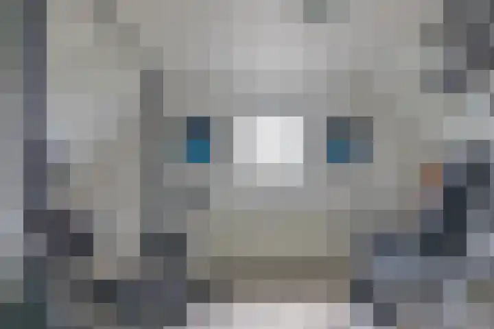 Skieppedrifte 5 Drogeham thumbnail 54