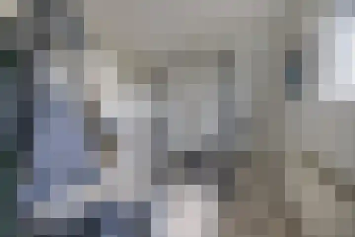 Skieppedrifte 5 Drogeham thumbnail 55