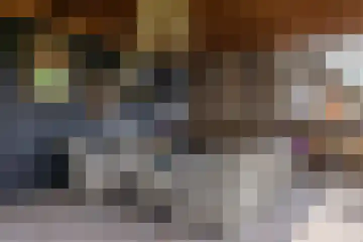 Skieppedrifte 5 Drogeham thumbnail 57
