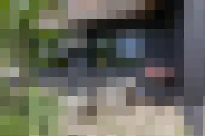 Skieppedrifte 5 Drogeham thumbnail 58