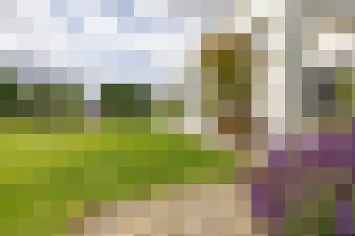 Skieppedrifte 5 Drogeham thumbnail 60
