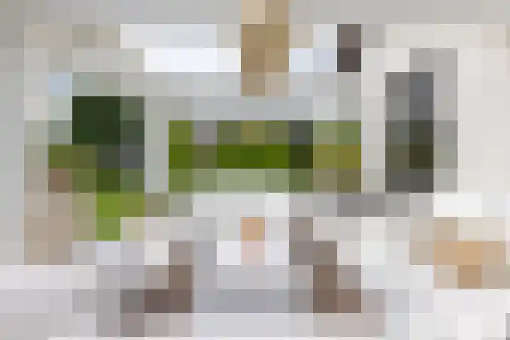 Skieppedrifte 5 Drogeham thumbnail 61