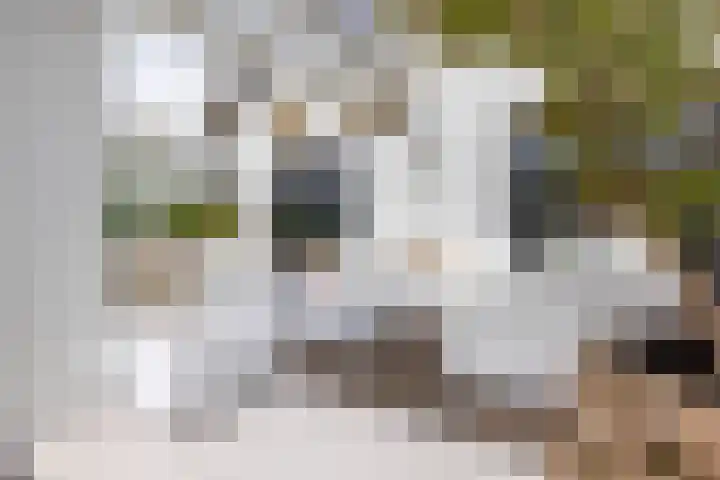 Skieppedrifte 5 Drogeham thumbnail 62