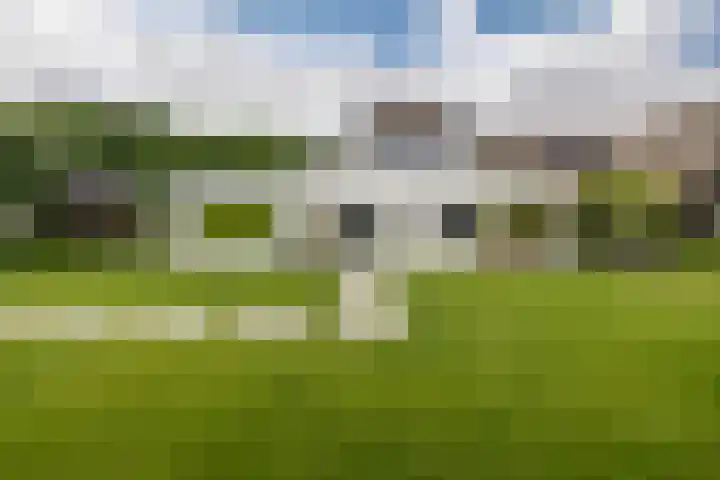 Skieppedrifte 5 Drogeham thumbnail 63