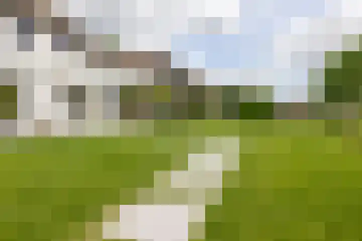Skieppedrifte 5 Drogeham thumbnail 64