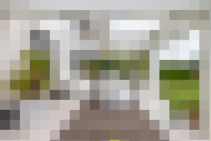 Skieppedrifte 5 Drogeham thumbnail 66