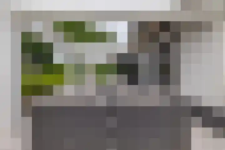 Skieppedrifte 5 Drogeham thumbnail 67