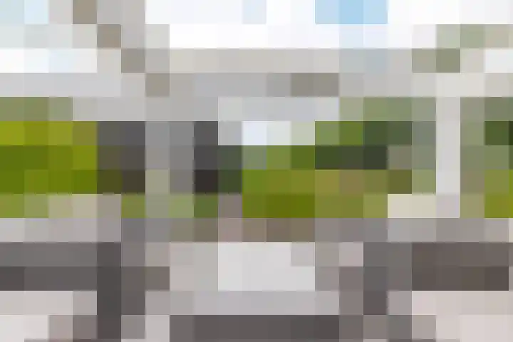 Skieppedrifte 5 Drogeham thumbnail 68