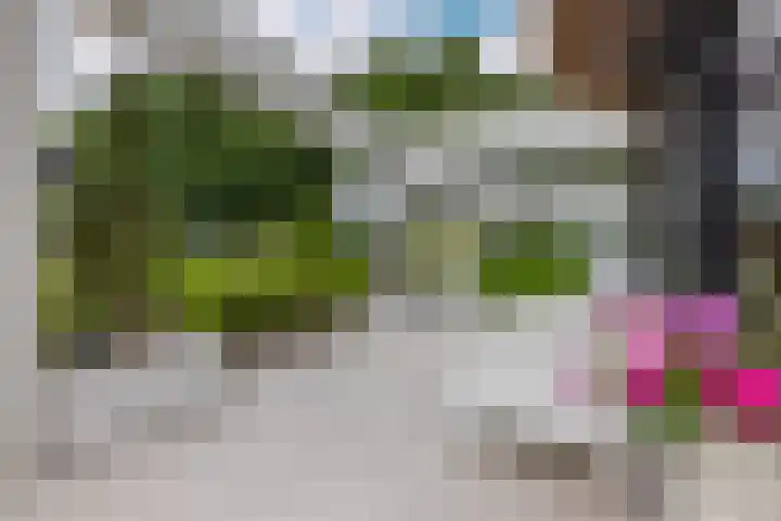 Skieppedrifte 5 Drogeham thumbnail 69