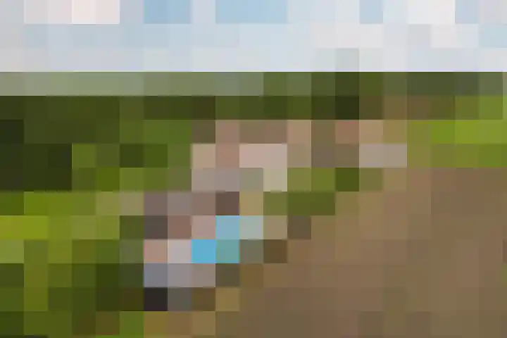 Skieppedrifte 5 Drogeham thumbnail 7