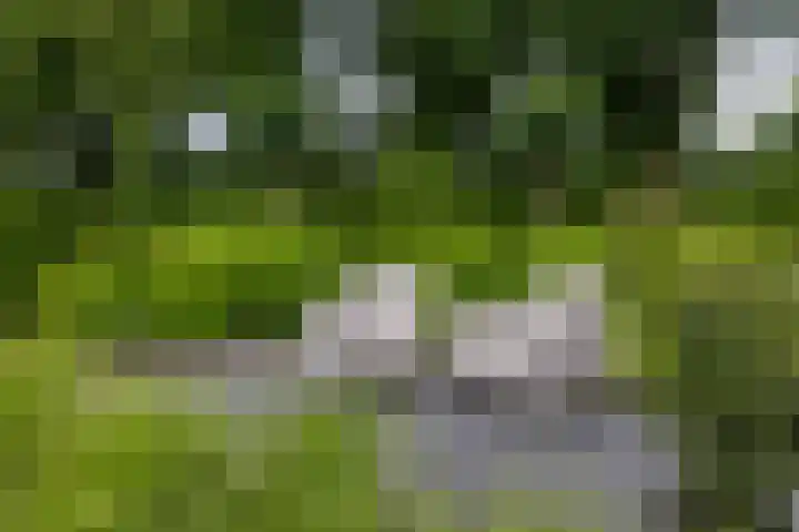 Skieppedrifte 5 Drogeham thumbnail 71