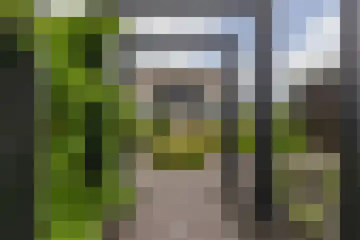 Skieppedrifte 5 Drogeham thumbnail 73