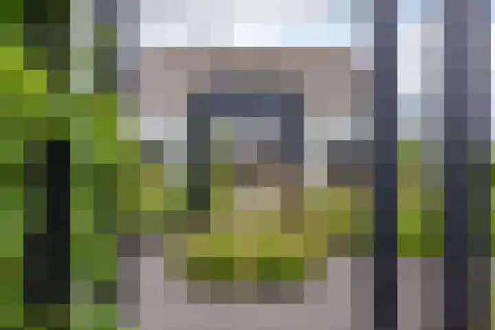 Skieppedrifte 5 Drogeham thumbnail 74