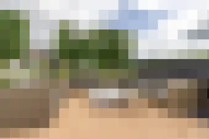 Skieppedrifte 5 Drogeham thumbnail 75