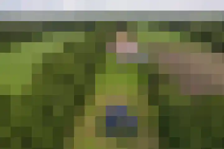 Skieppedrifte 5 Drogeham thumbnail 8